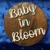 Baby in Bloom 23 inch circle rental $15